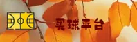 买球网官方网站 - 玩转球赛乐趣